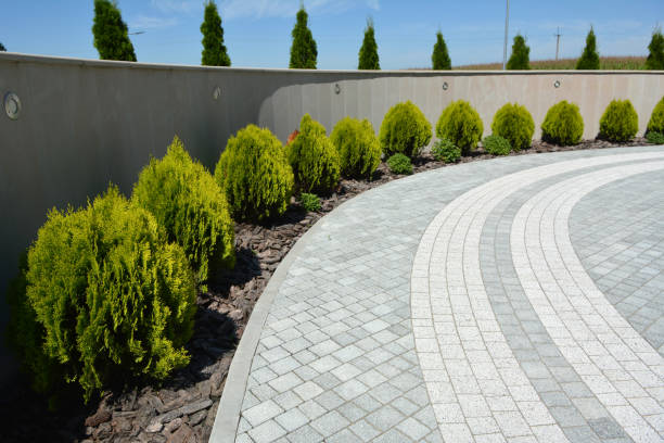 Best Interlocking Driveway Pavers  in Olympia, SC