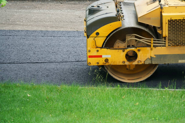 Best Driveway Paving Contractor  in Olympia, SC